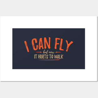 I Can Fly, But Now It Hurts To Walk - Aerial Posters and Art